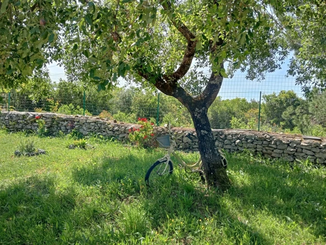Quinta T1 para Venda em Aljubarrota Foto 20