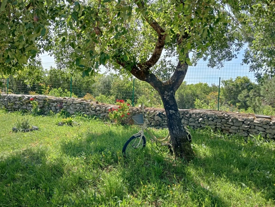Quinta T1 para Venda em Aljubarrota Foto 20