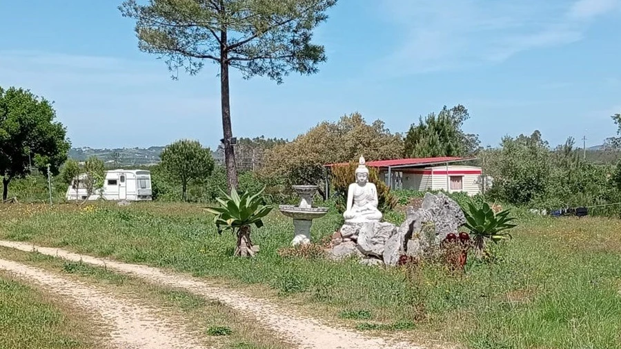 Quinta T1 para Venda em Aljubarrota
