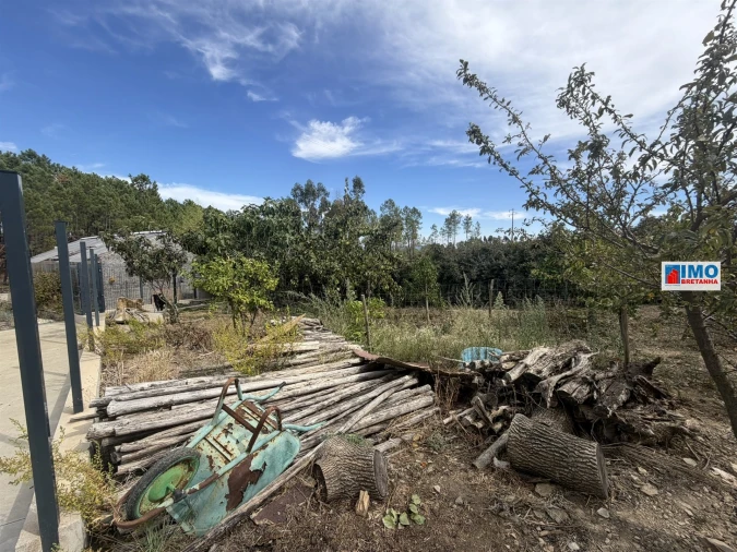 Moradia T3 para Venda em Proença-A-Nova e Peral Foto 69
