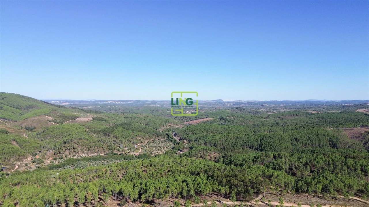 Terreno Agricola ou Rústico para Venda em Sarzedas Foto 19
