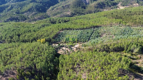 Terreno Agricola ou Rústico para Venda em Sarzedas