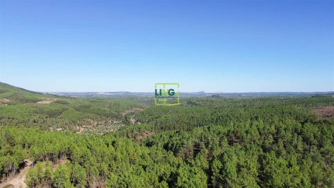 Terreno Agricola ou Rústico para Venda em Sarzedas