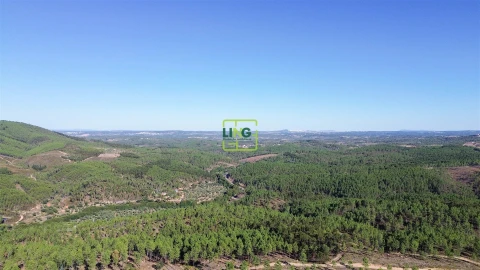 Terreno Agricola ou Rústico para Venda em Sarzedas