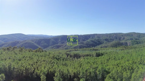 Terreno Agricola ou Rústico para Venda em Sarzedas