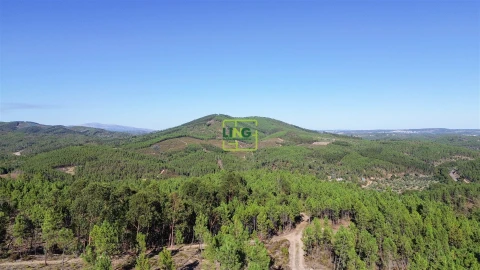 Terreno Agricola ou Rústico para Venda em Sarzedas
