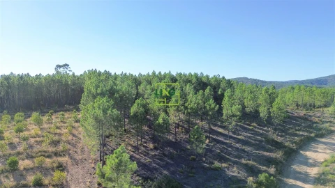 Terreno Agricola ou Rústico para Venda em Sarzedas