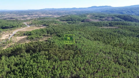 Terreno Agricola ou Rústico para Venda em Sarzedas