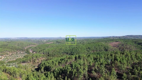 Terreno Agricola ou Rústico para Venda em Sarzedas