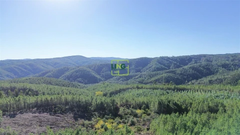 Terreno Agricola ou Rústico para Venda em Sarzedas