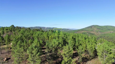 Terreno Agricola ou Rústico para Venda em Sarzedas