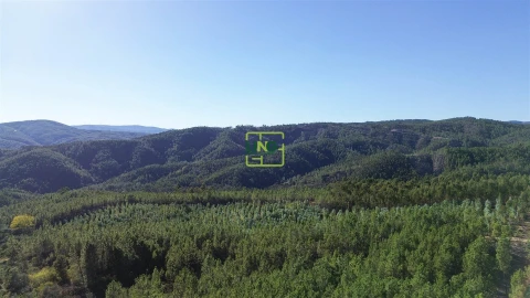 Terreno Agricola ou Rústico para Venda em Sarzedas