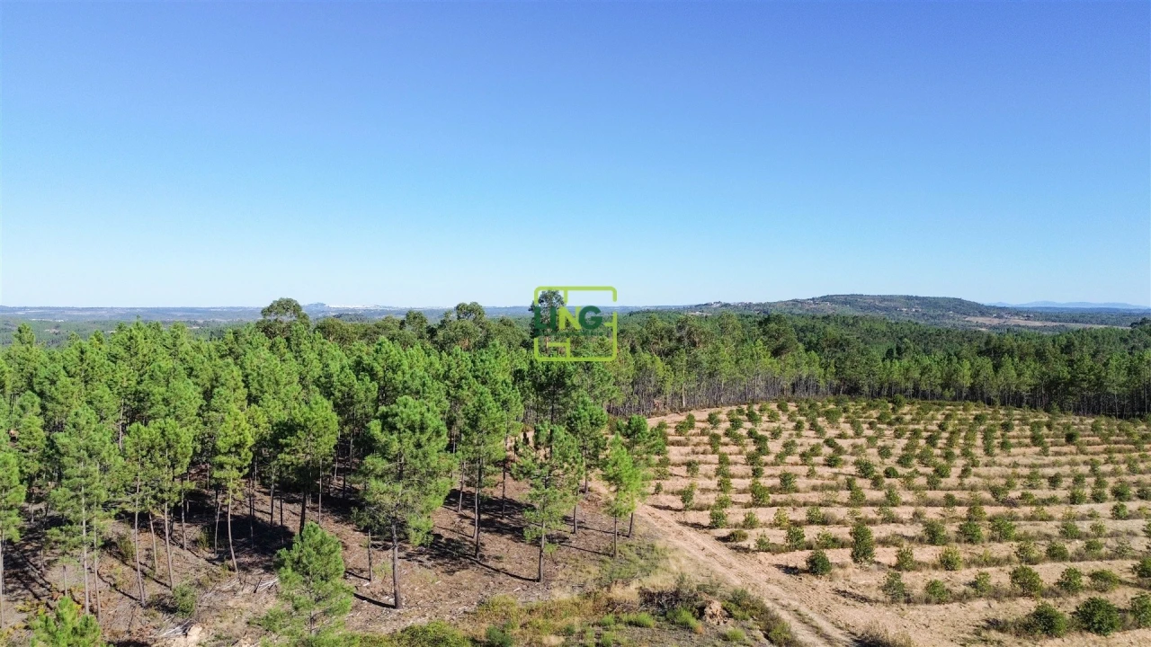 Terreno Agricola ou Rústico para Venda em Sarzedas Foto 24