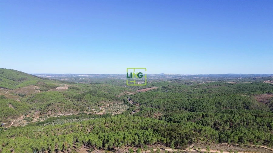 Terreno Agricola ou Rústico para Venda em Sarzedas Foto 19