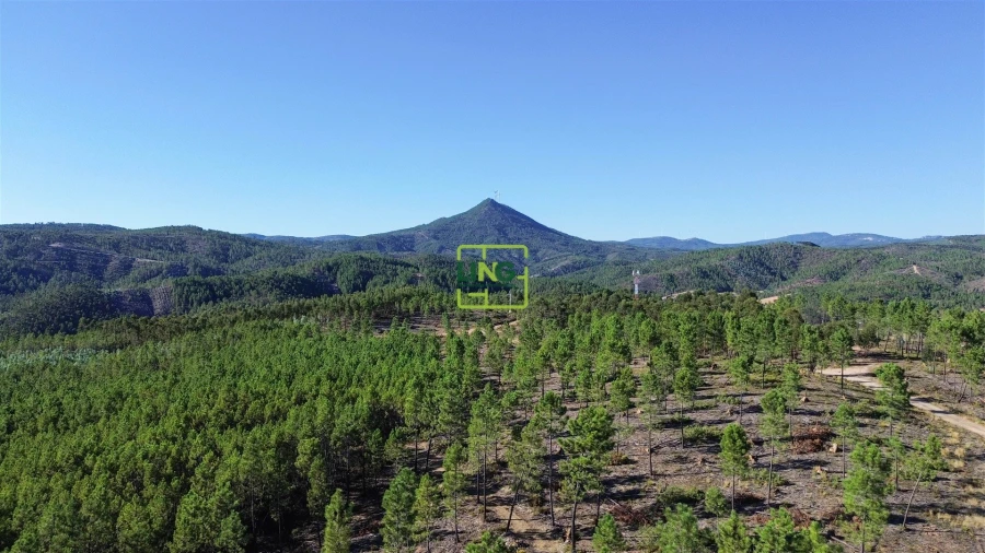 Terreno Agricola ou Rústico para Venda em Sarzedas Foto 16