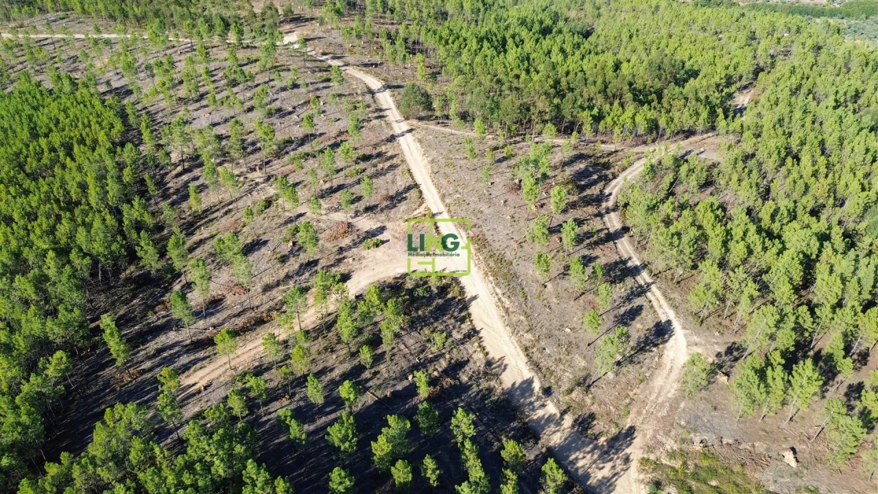 Terreno Agricola ou Rústico para Venda em Sarzedas Foto 14