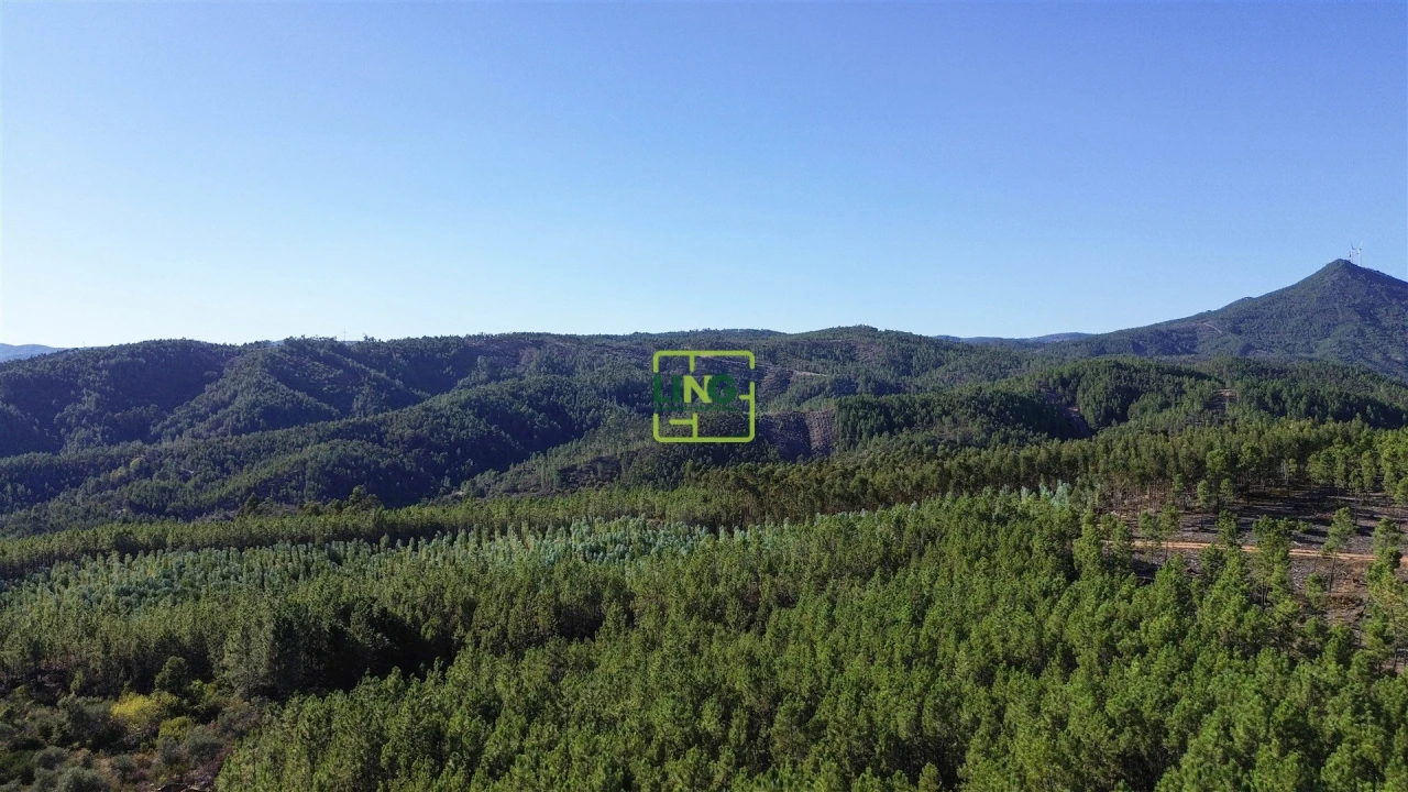 Terreno Agricola ou Rústico para Venda em Sarzedas Foto 25