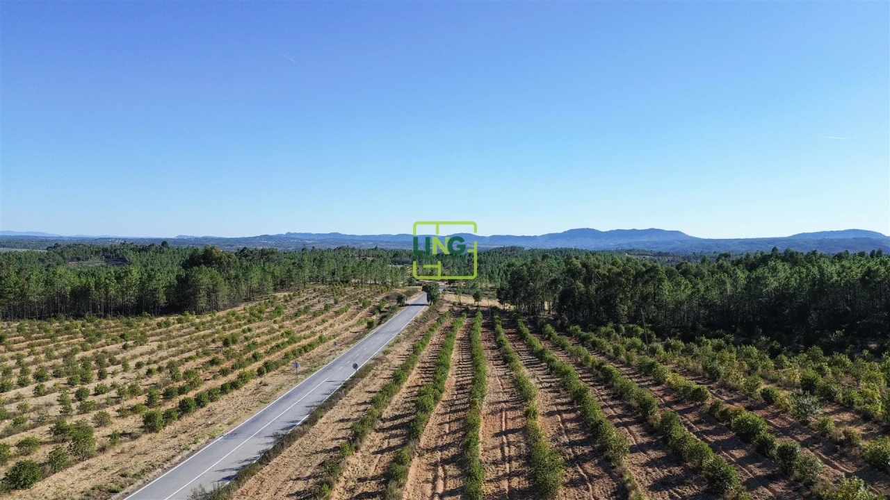 Terreno Agricola ou Rústico para Venda em Sarzedas Foto 9