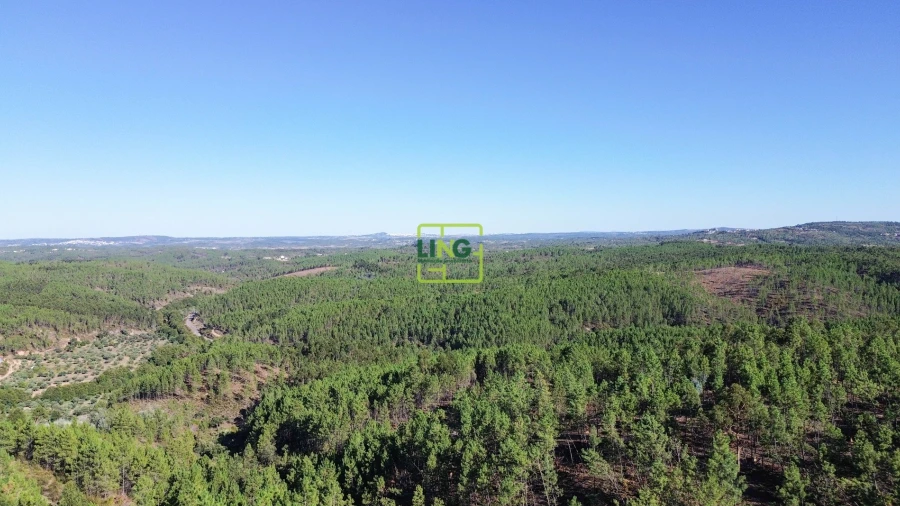Terreno Agricola ou Rústico para Venda em Sarzedas