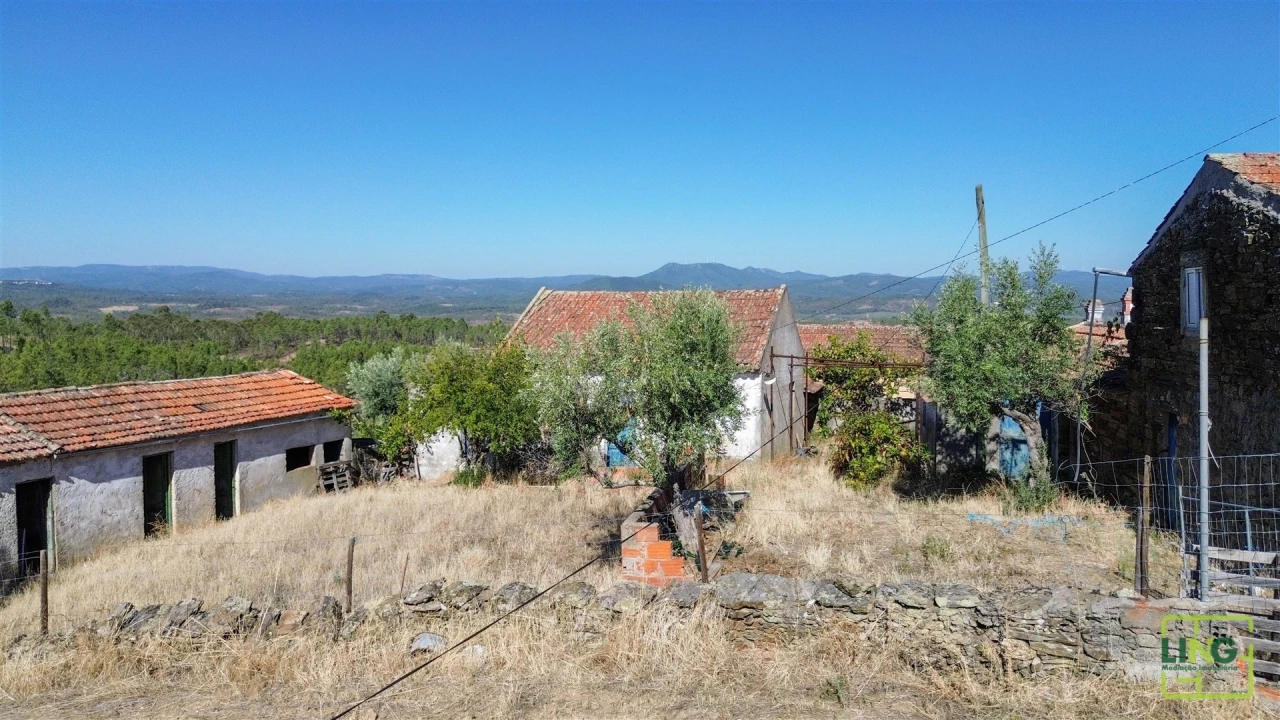 Quinta T0 para Venda em Sarzedas Foto 51