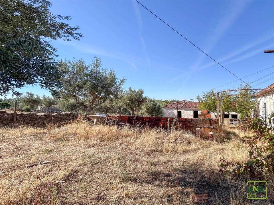Quinta T0 para Venda em Sarzedas Foto 48