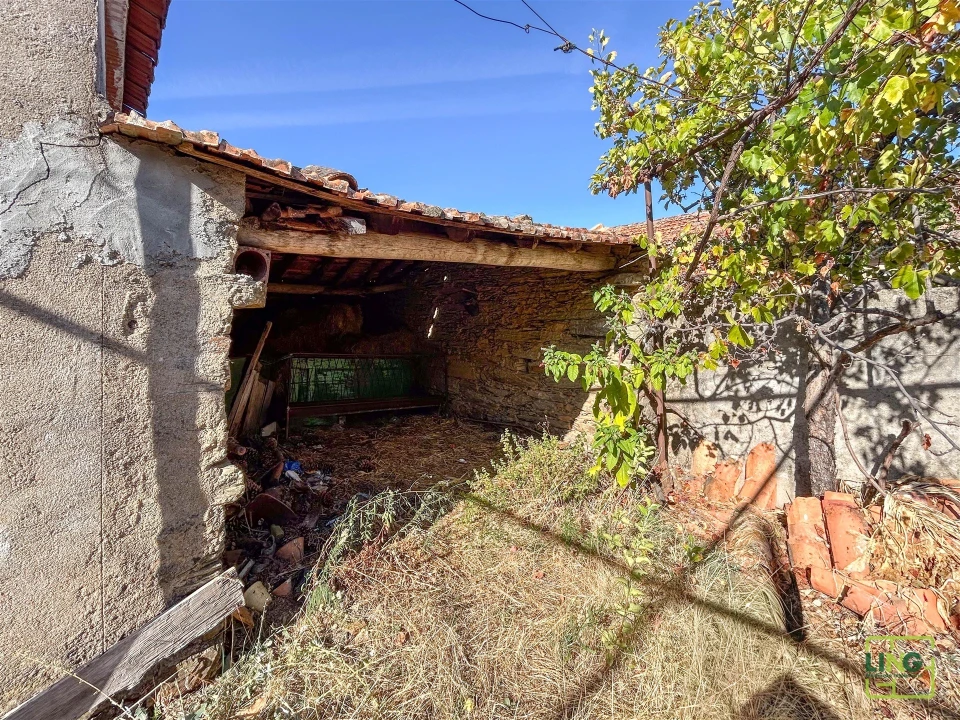 Quinta T0 para Venda em Sarzedas Foto 33