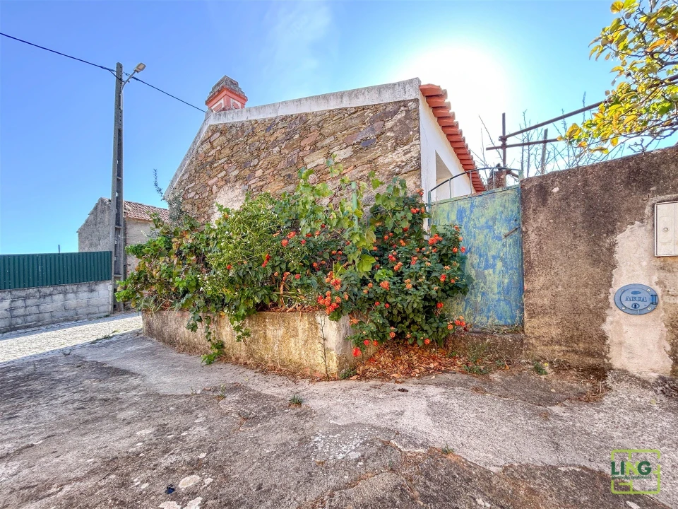 Quinta T0 para Venda em Sarzedas Foto 19