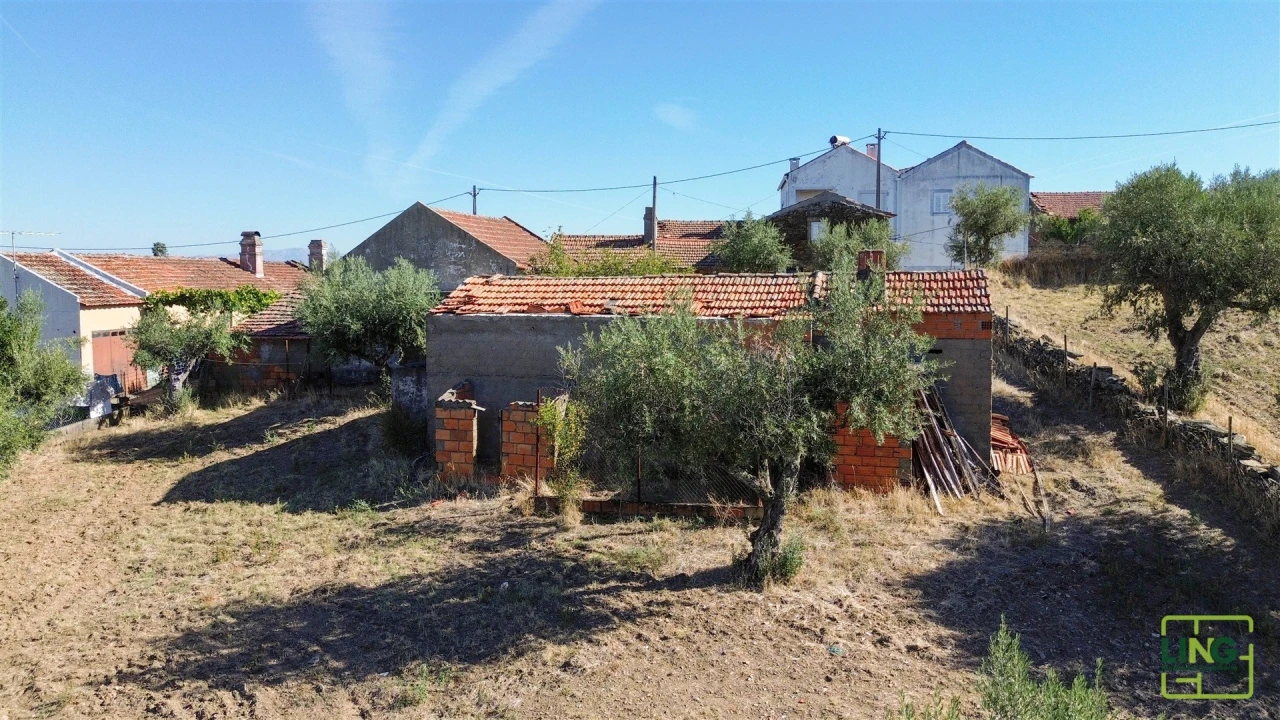 Quinta T0 para Venda em Sarzedas Foto 84