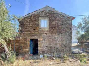 Quinta T0 para Venda em Sarzedas