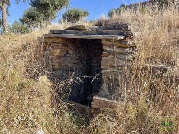 Quinta T0 para Venda em Sarzedas