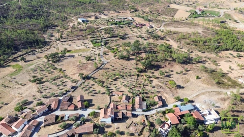 Quinta T0 para Venda em Sarzedas