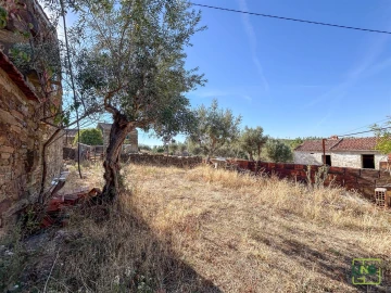 Quinta T0 para Venda em Sarzedas
