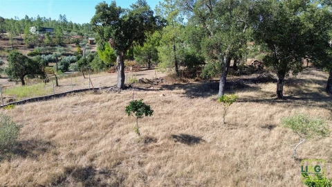 Quinta T0 para Venda em Sarzedas