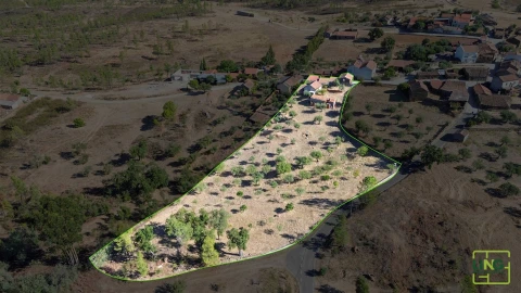 Quinta T0 para Venda em Sarzedas