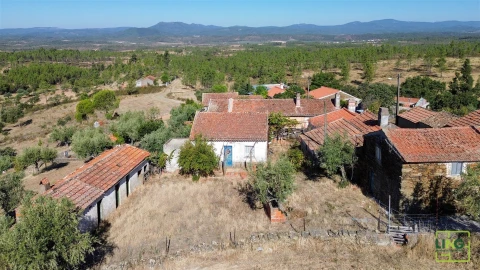 Quinta T0 para Venda em Sarzedas