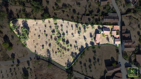 Quinta T0 para Venda em Sarzedas