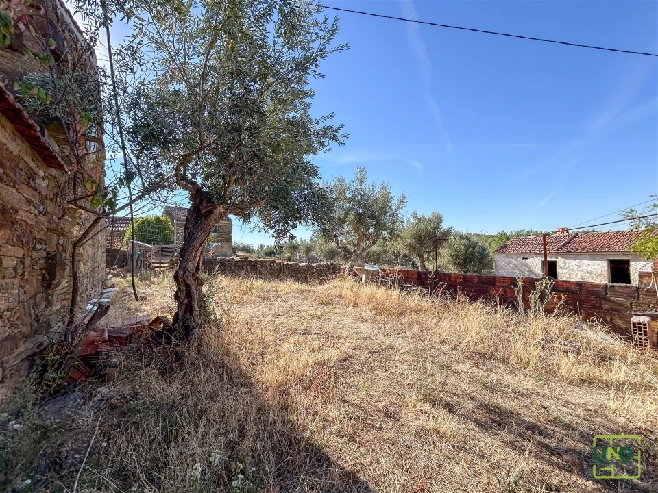 Quinta T0 para Venda em Sarzedas Foto 47