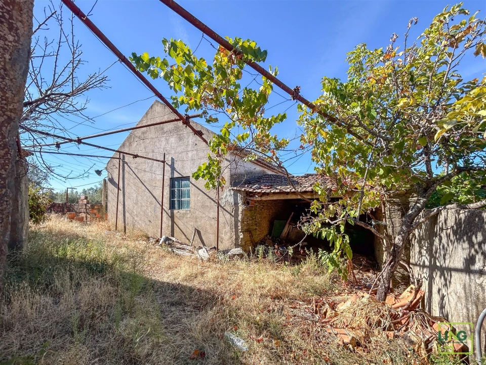 Quinta T0 para Venda em Sarzedas Foto 31