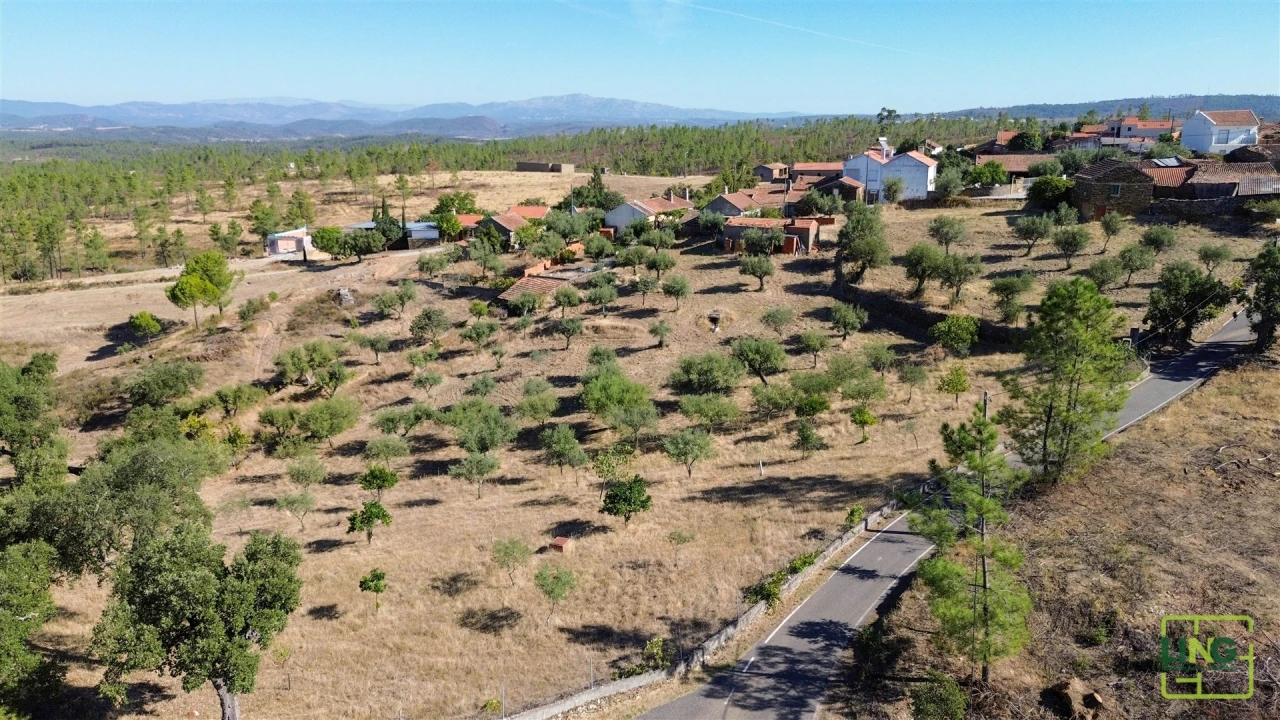 Quinta T0 para Venda em Sarzedas Foto 76
