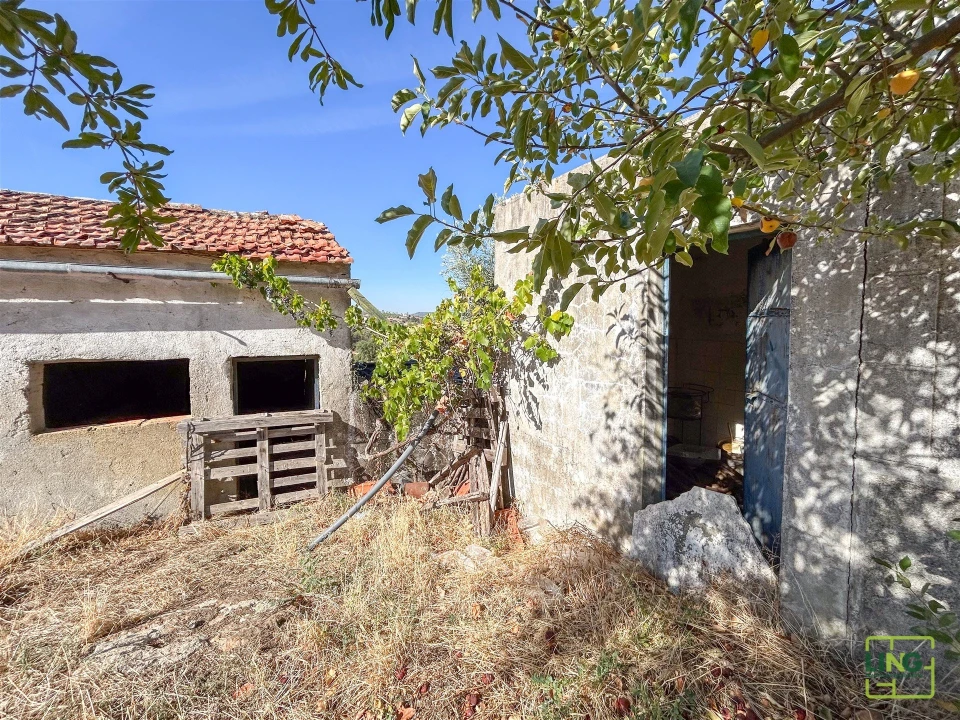Quinta T0 para Venda em Sarzedas Foto 12