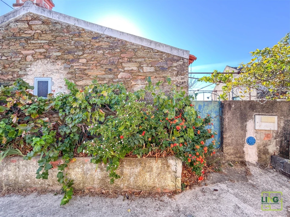 Quinta T0 para Venda em Sarzedas Foto 18