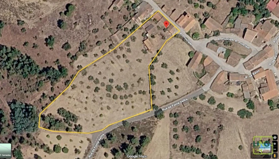 Quinta T0 para Venda em Sarzedas Planta 1