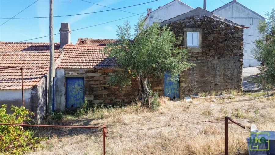 Quinta T0 para Venda em Sarzedas Foto 36