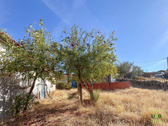 Quinta T0 para Venda em Sarzedas Foto 55