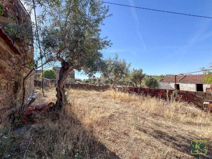 Quinta T0 para Venda em Sarzedas Foto 47