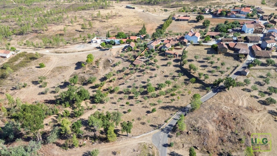 Quinta T0 para Venda em Sarzedas Foto 75