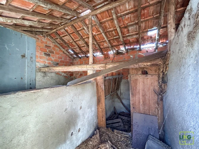 Quinta T0 para Venda em Sarzedas Foto 56