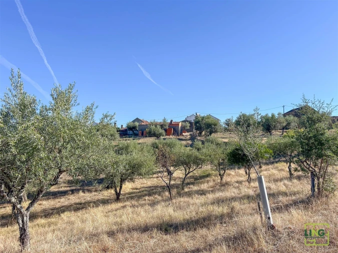 Quinta T0 para Venda em Sarzedas Foto 68