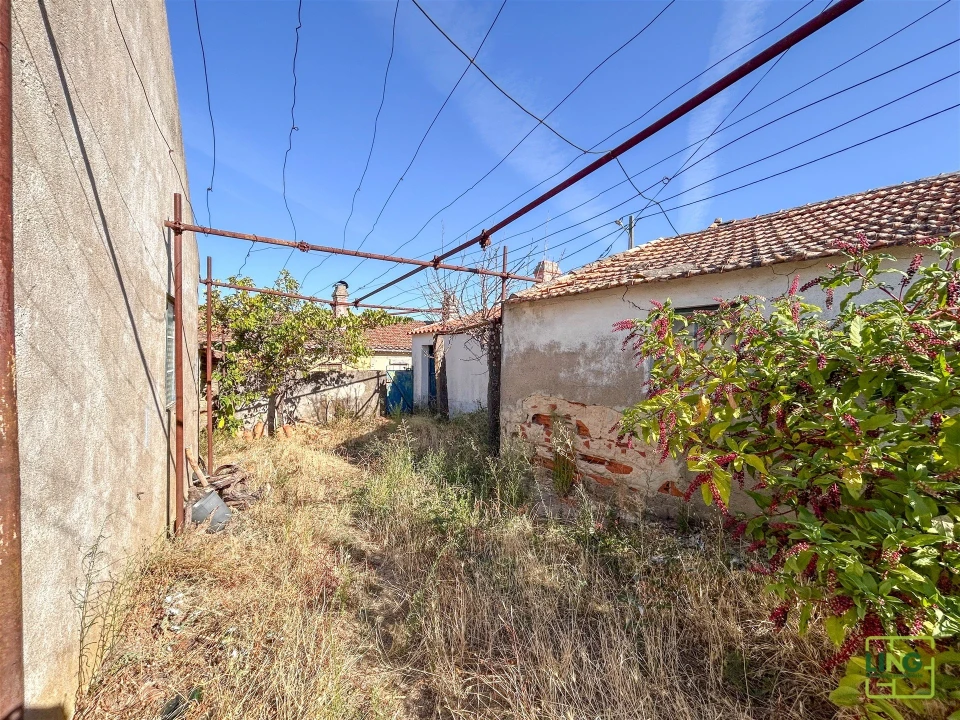 Quinta T0 para Venda em Sarzedas Foto 20