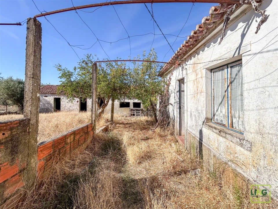 Quinta T0 para Venda em Sarzedas Foto 5